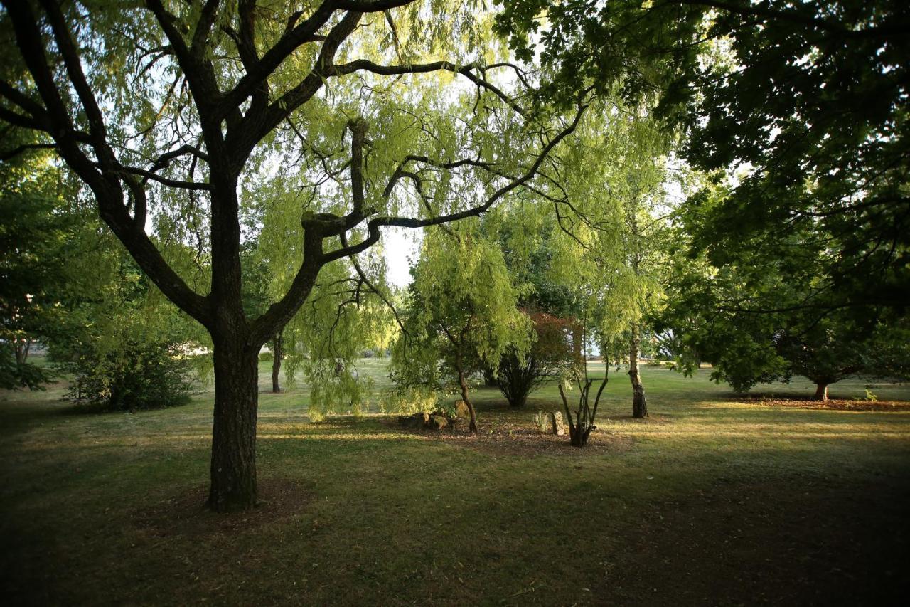 GouaixLes Reves De Flamboin住宿加早餐旅馆 外观 照片